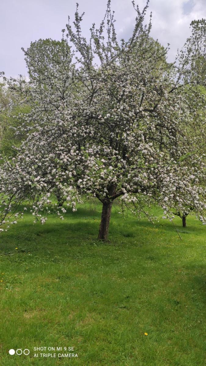 Petit coin de Paradis - Housity