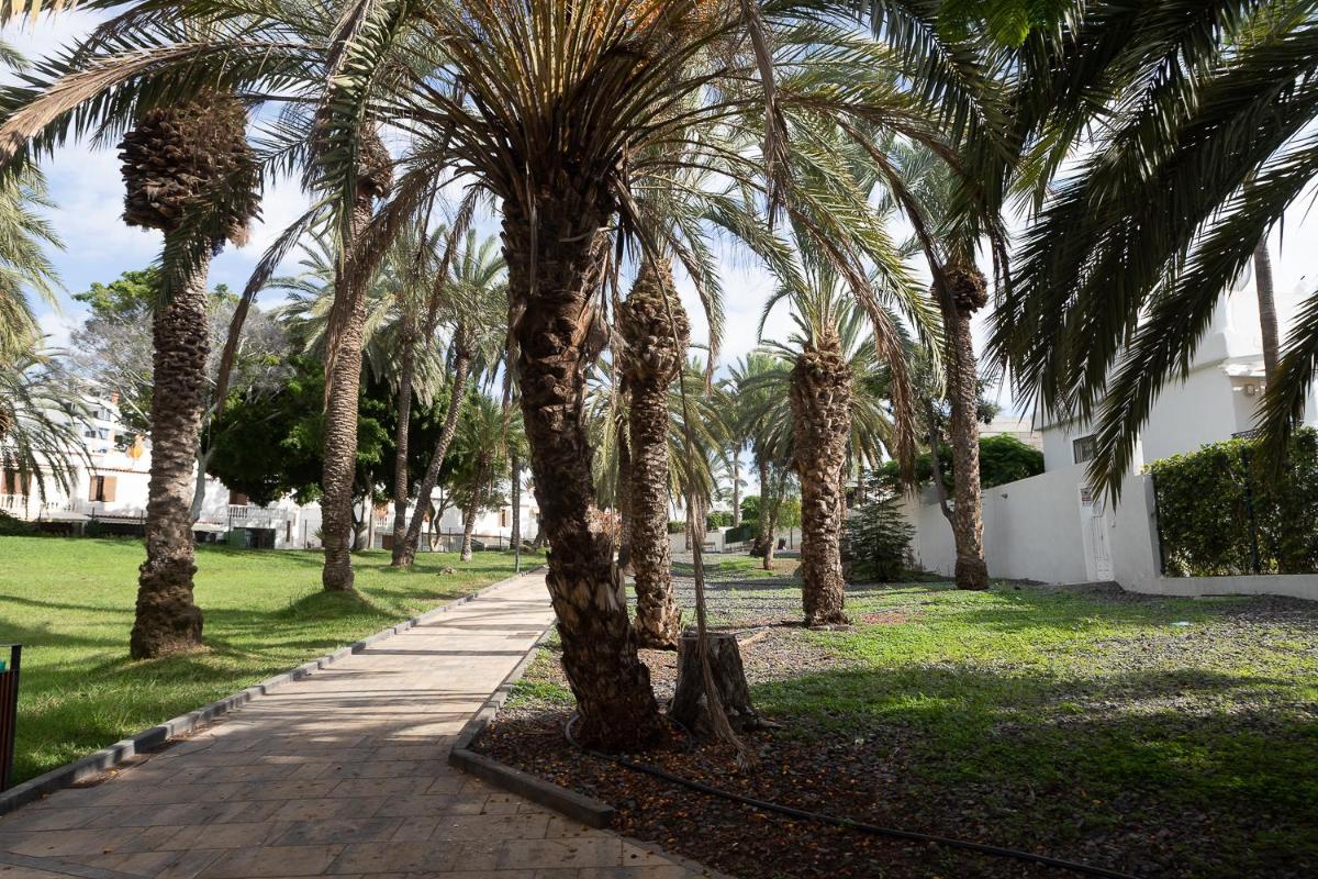 Beautiful duplex in 3 minutes walking to the beach in Playa de las Américas - Housity