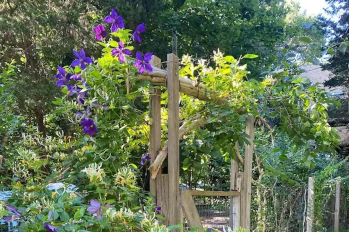 Cedar Ridge Cottage - Housity