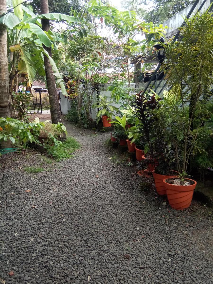 Coconut Grove - Housity