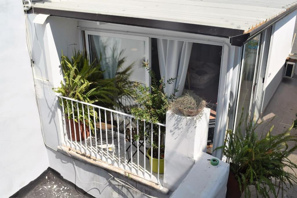 S- Naples Loft with balcony in the historic center - Housity
