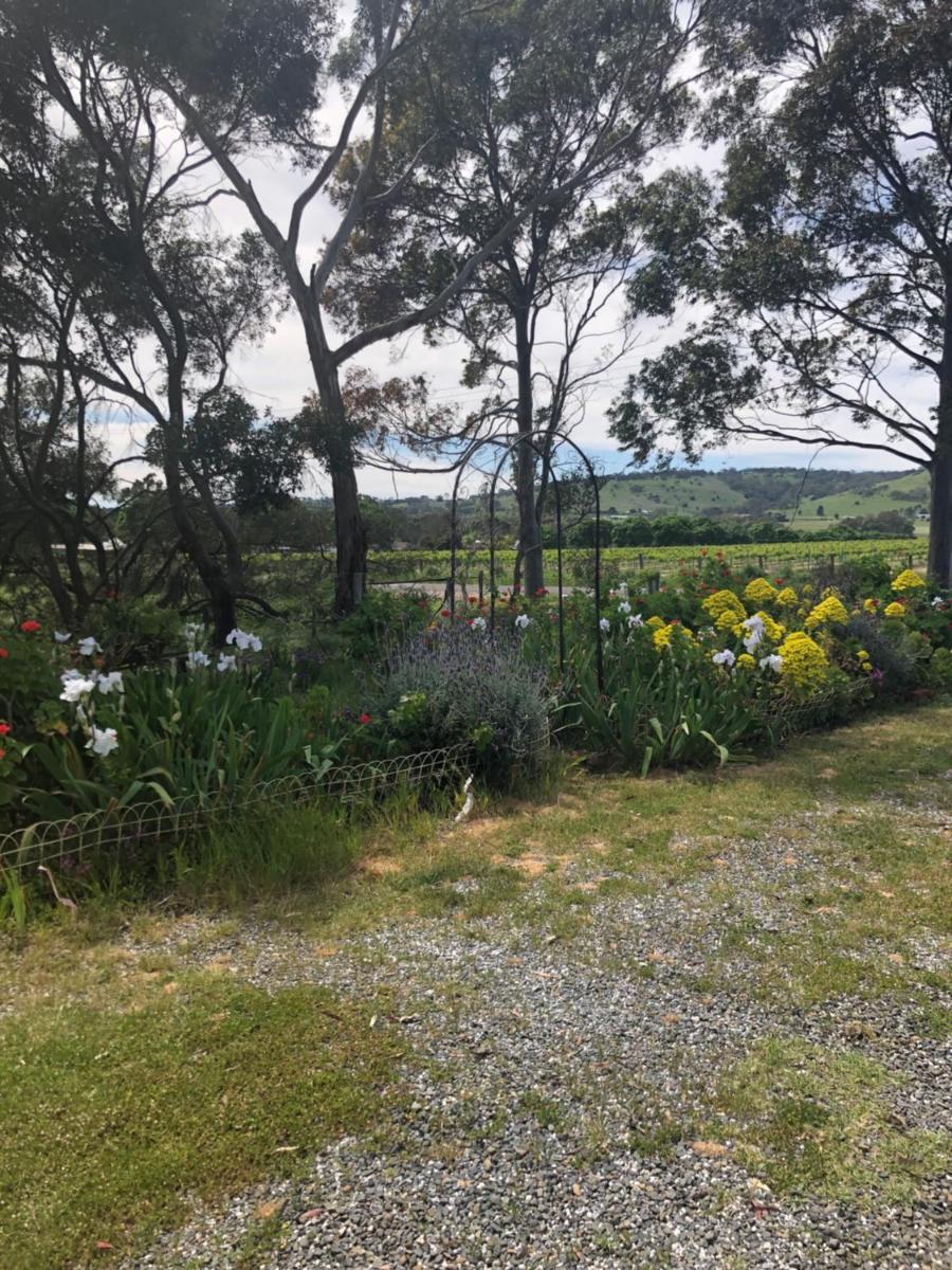 Bethany Cottages - Housity