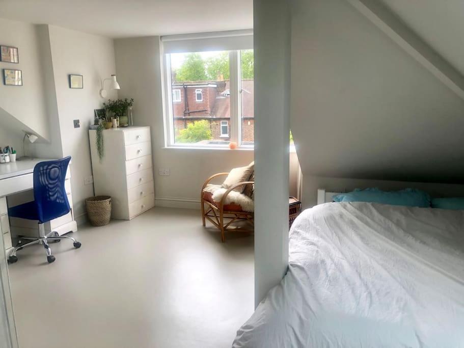 Large, modern, light, open plan designer house - Housity
