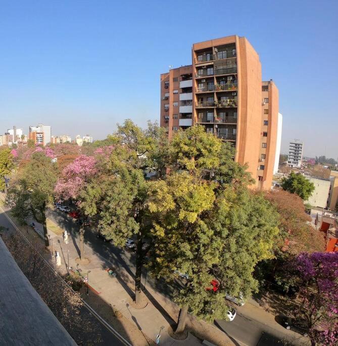 Lavalle ESTRELLA- 1 bedroom - Housity