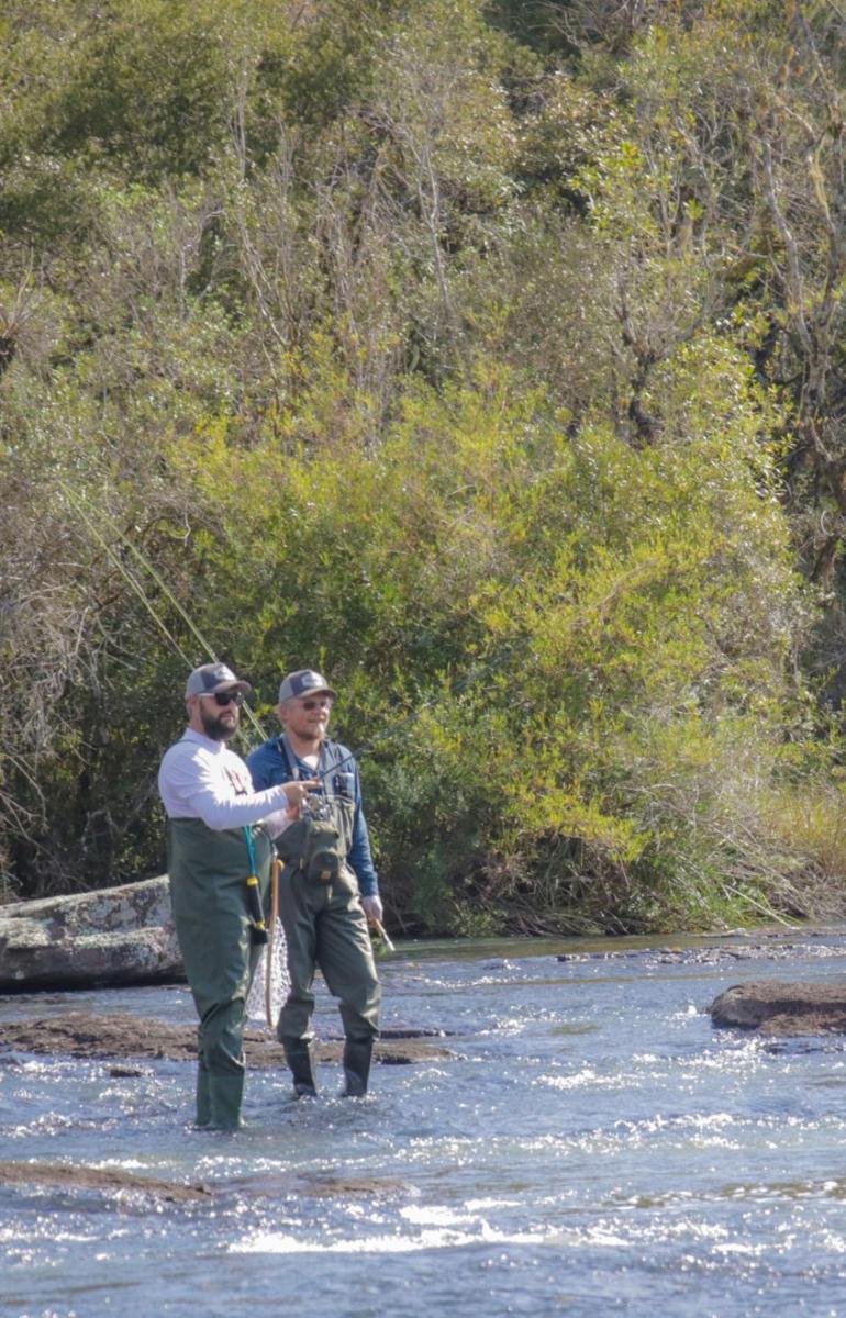 Margô Experience - Housity