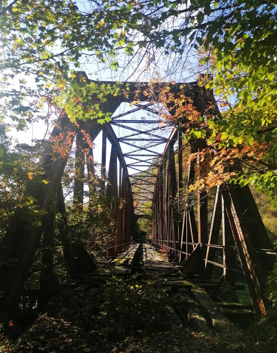 Vikendica,, Tadic,, Ovčar Banja - Housity