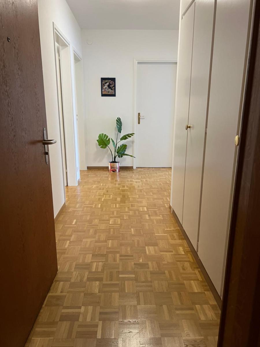 Casa Kromatica - Housity