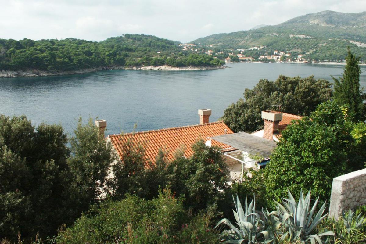 Apartments by the sea Stikovica, Dubrovnik - 2131 - Housity