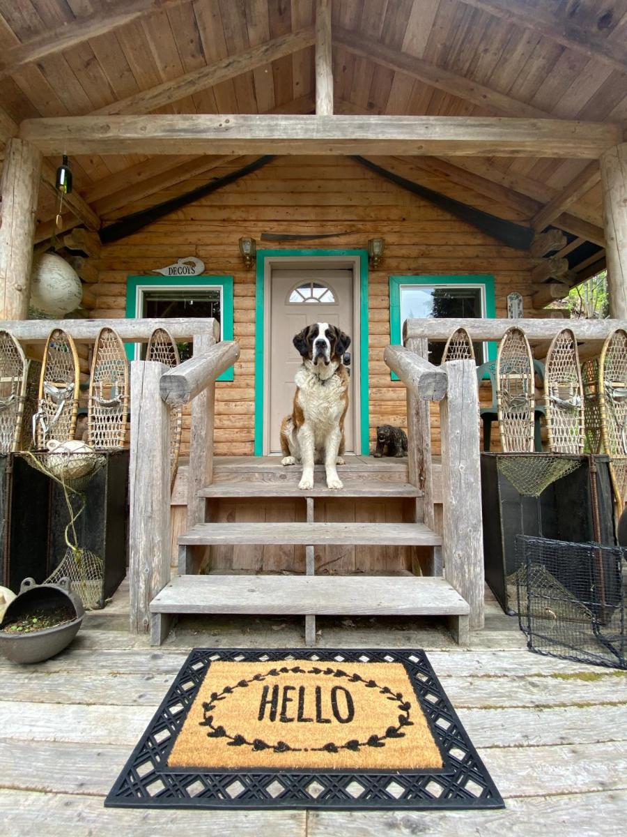 Kobuk’s Kabin - Housity