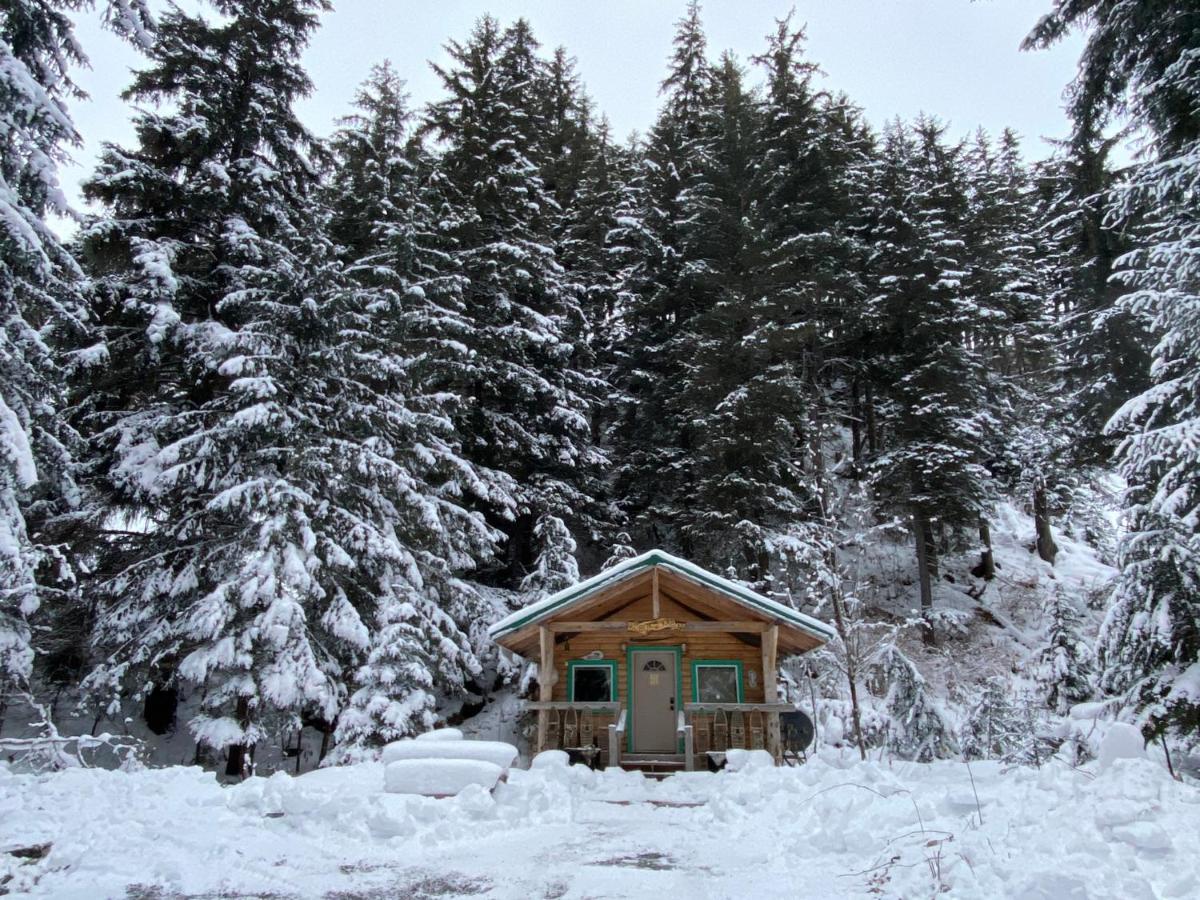 Kobuk’s Kabin - Housity