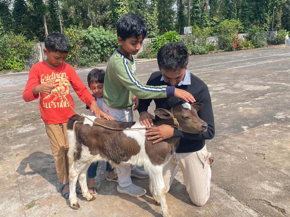 NEW ORGANIC HOME STAY - Housity