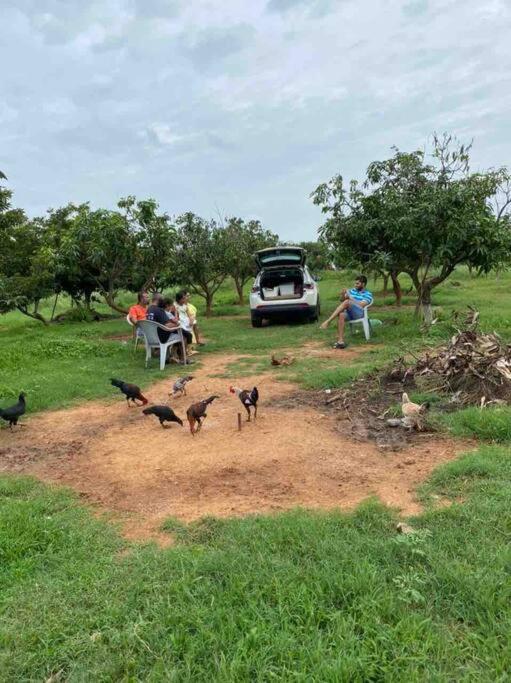 Suitetrails - Karri Farms