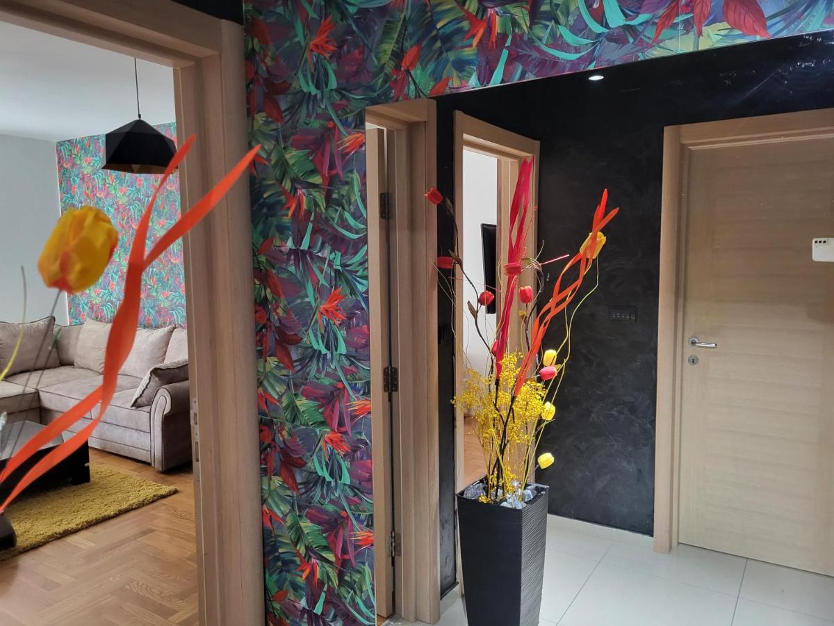 Proximus 1 - Housity