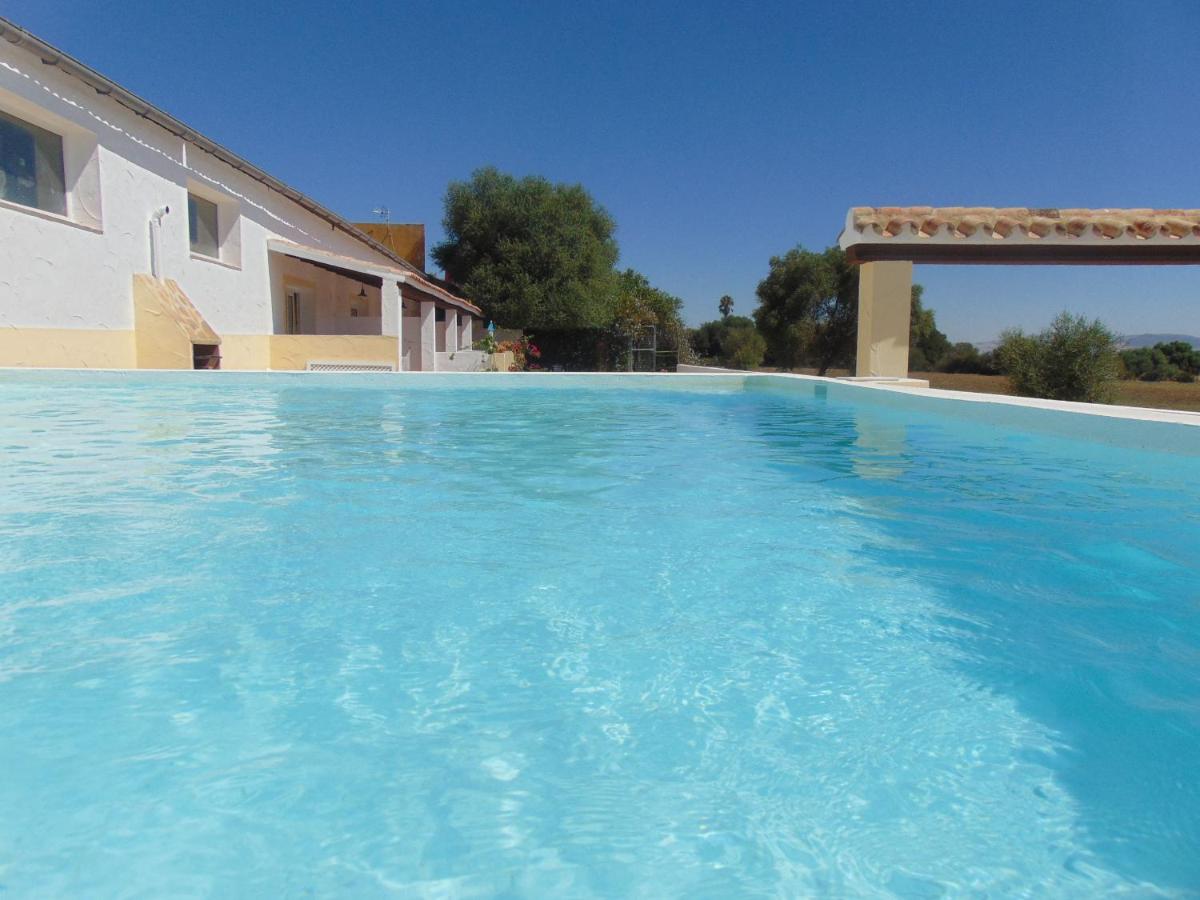 Studio andalou , campagne , chevaux , piscine commune - Housity