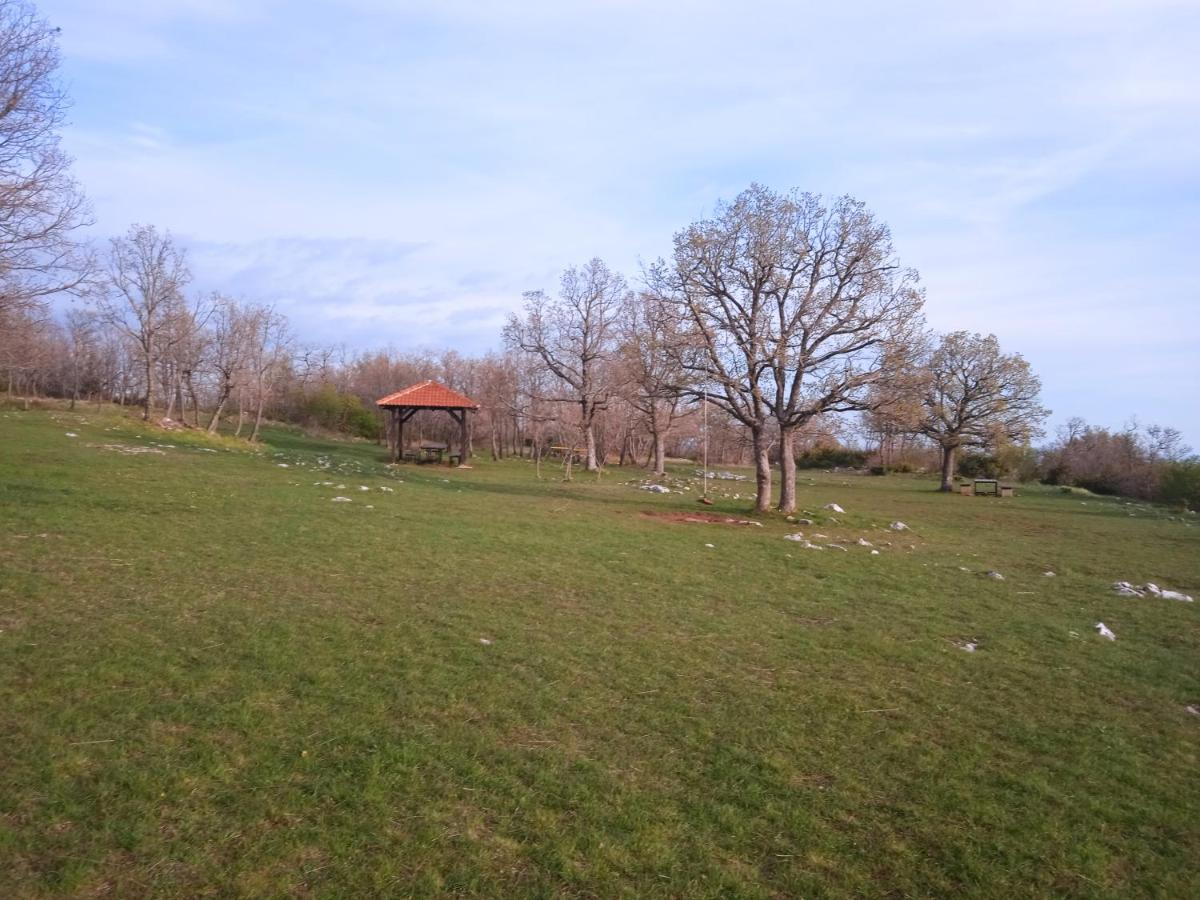 HOUSE 100 Y OLD IN NATURE, 12KM to NP KRKA, MIN 3 PEOPLE BOOKING - Housity