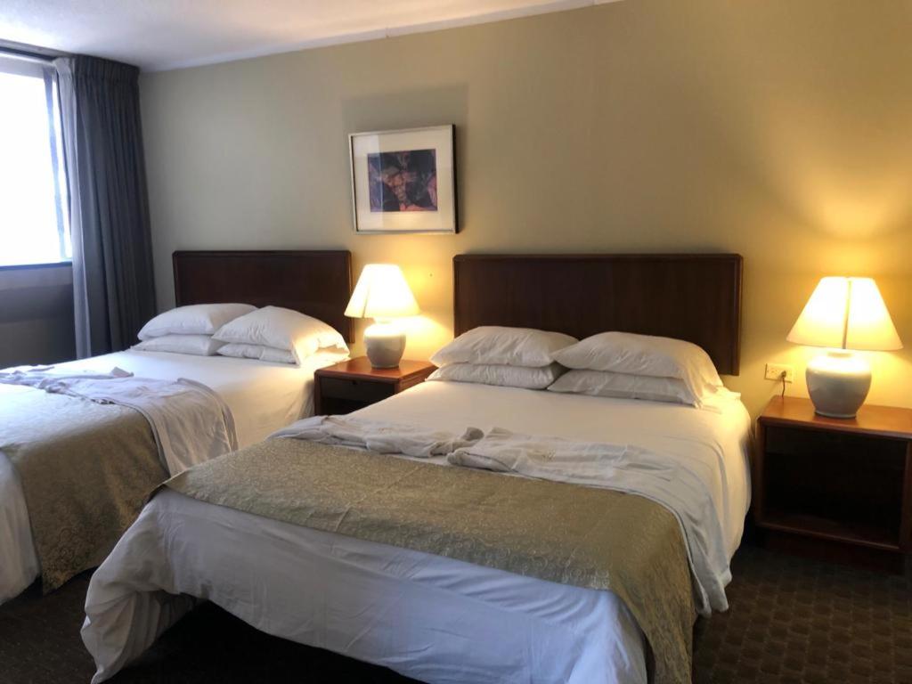 Suite cómoda y elegante. - Housity