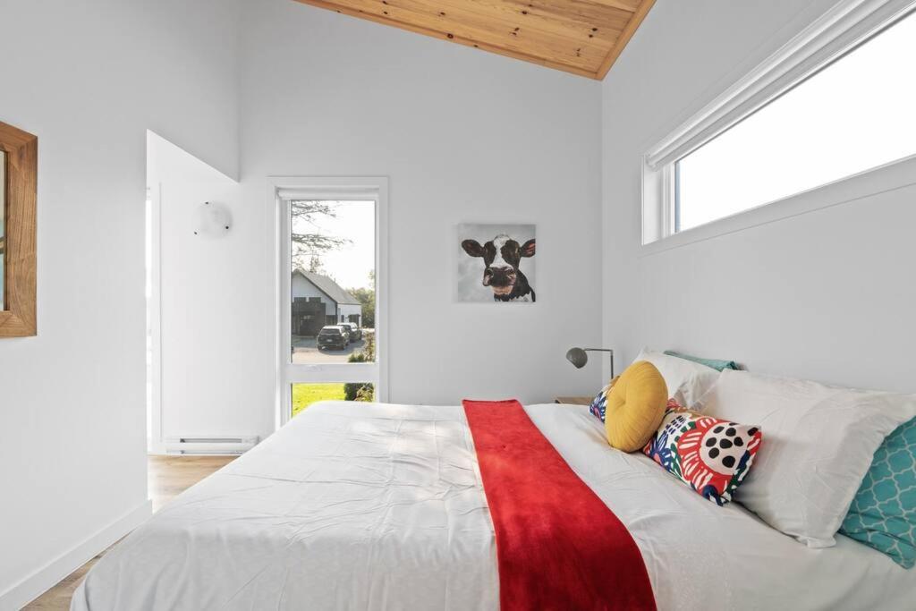 Initial / Mano / MSA - Housity