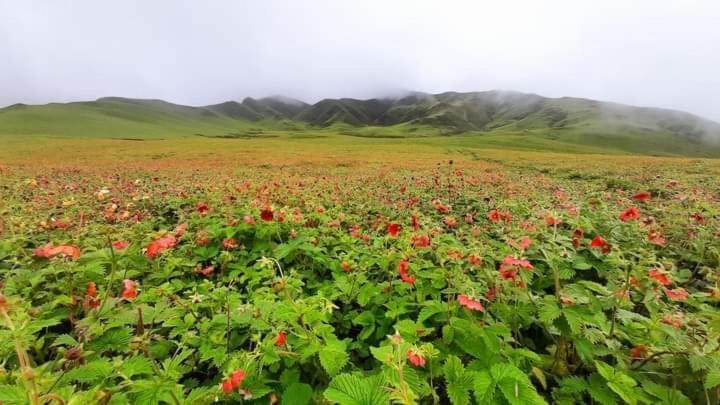 Suitetrails - khaptad homestay