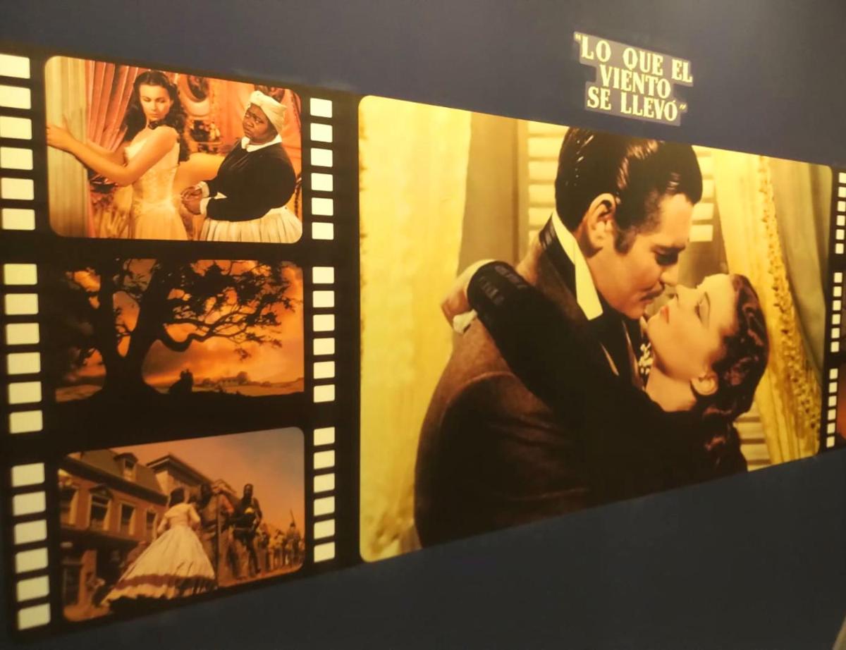 Hotel Paula Films Collection - Housity