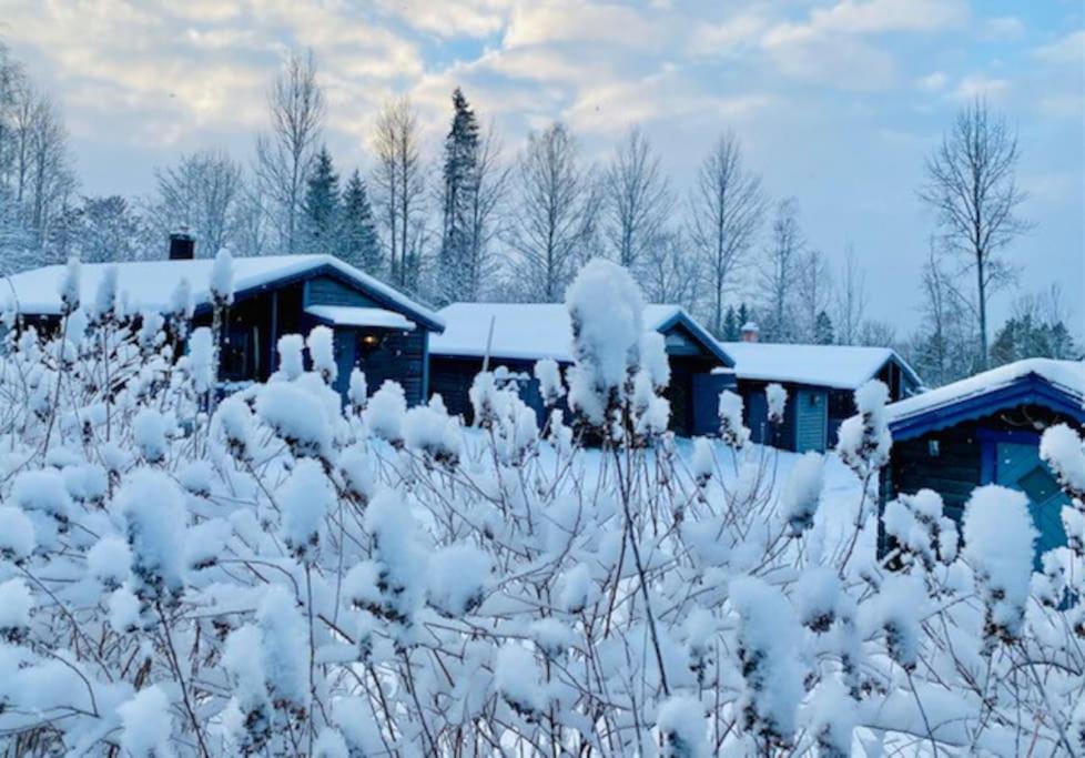 StugaNäraKungsberget - mysig stuga med kamin, grillkåta och vedbastu - Housity