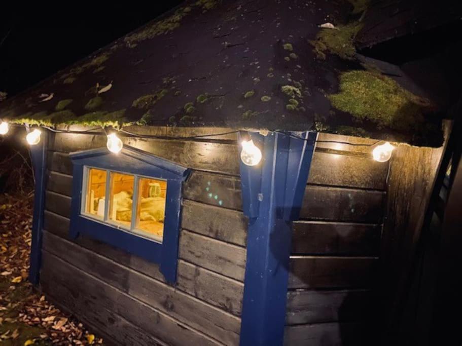 StugaNäraKungsberget - mysig stuga med kamin, grillkåta och vedbastu - Housity