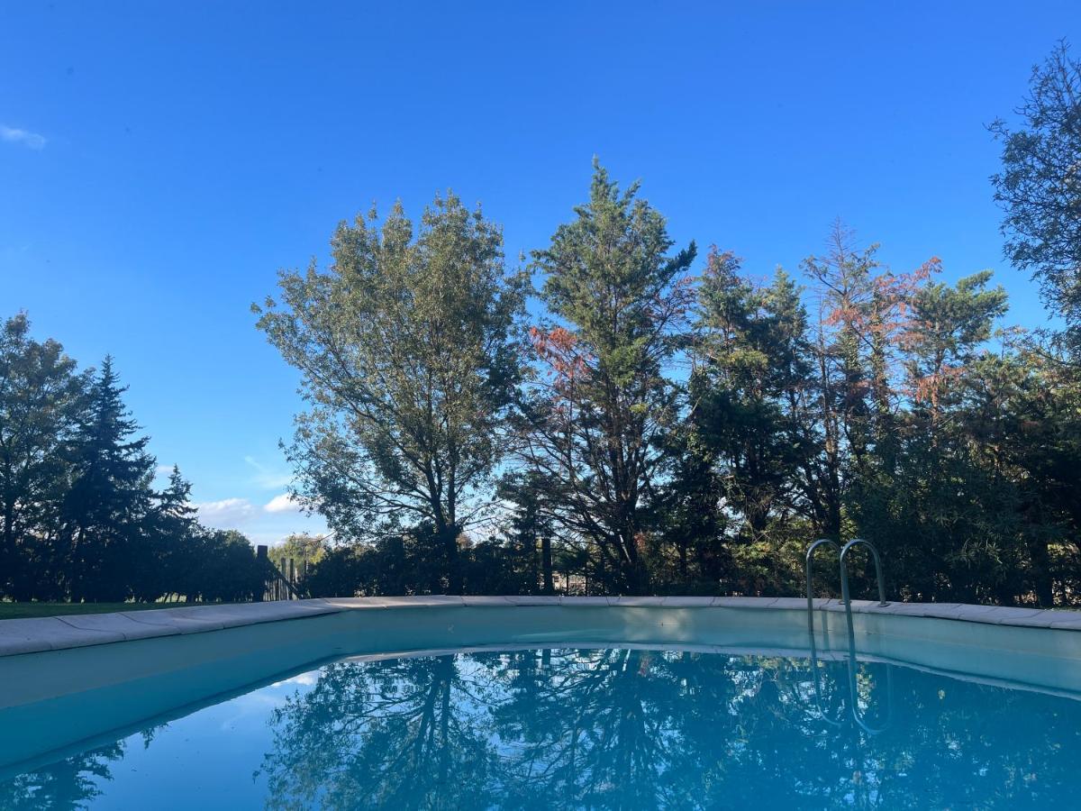 AUX PORTES DE LA CAMARGUE STUDIO BALNEO PISCINE - Housity