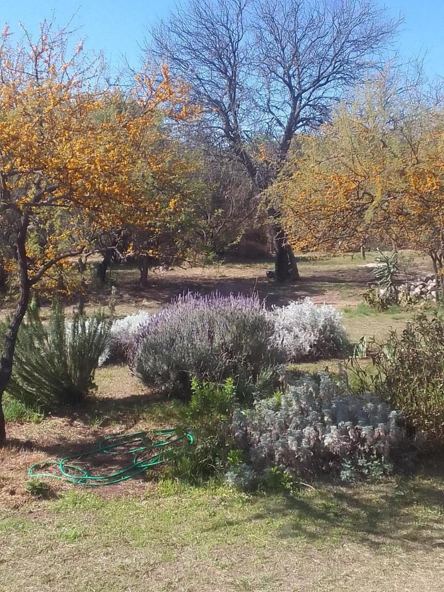 Chañares Majuk - Housity