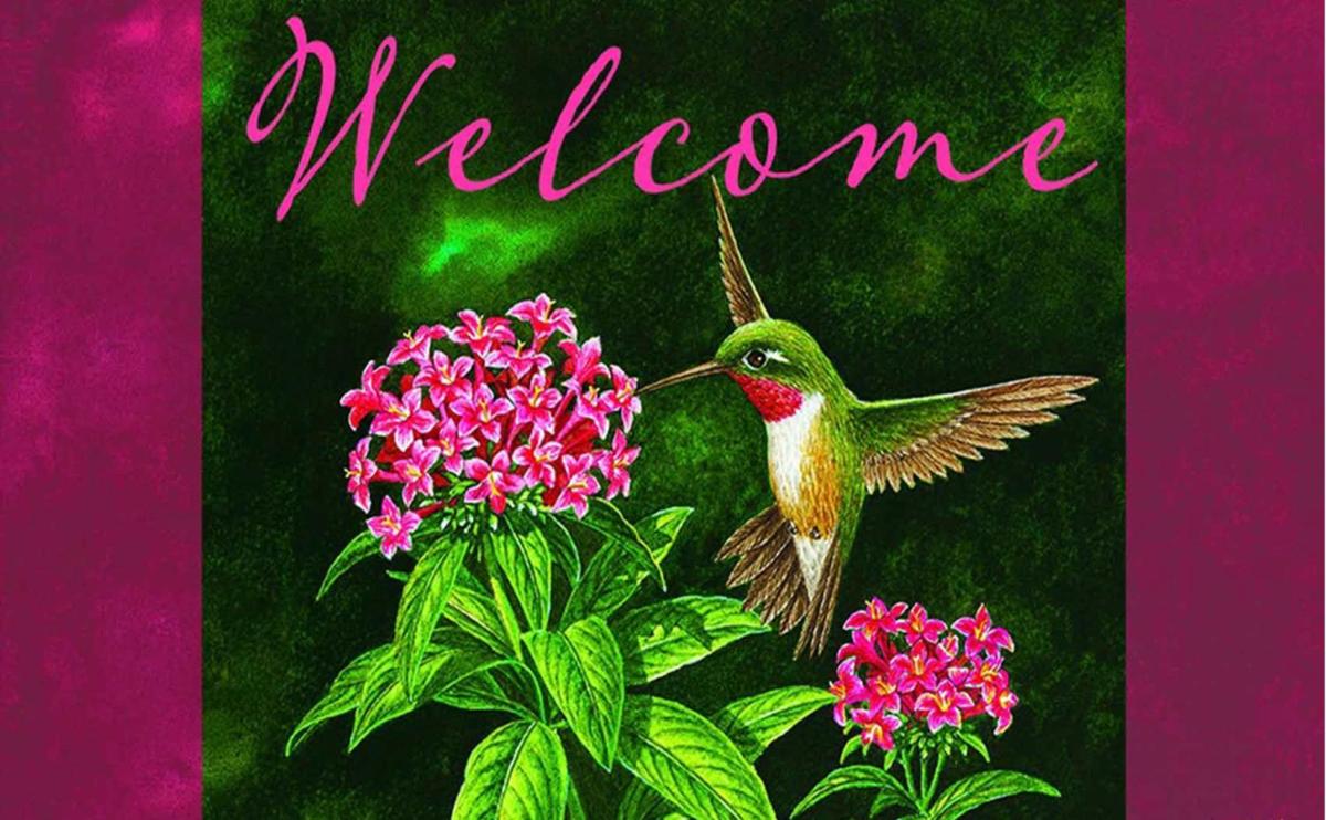 Hummingbird Retreat - Luxury Oceanview Apt, 7-Minute Walk to Beach - Housity