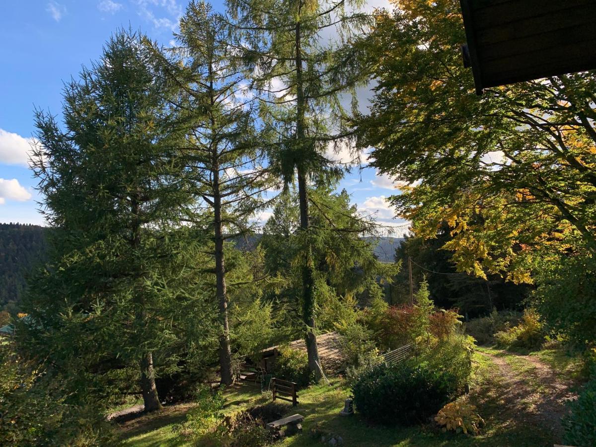 Chalet « à l’orée du bois » - Housity