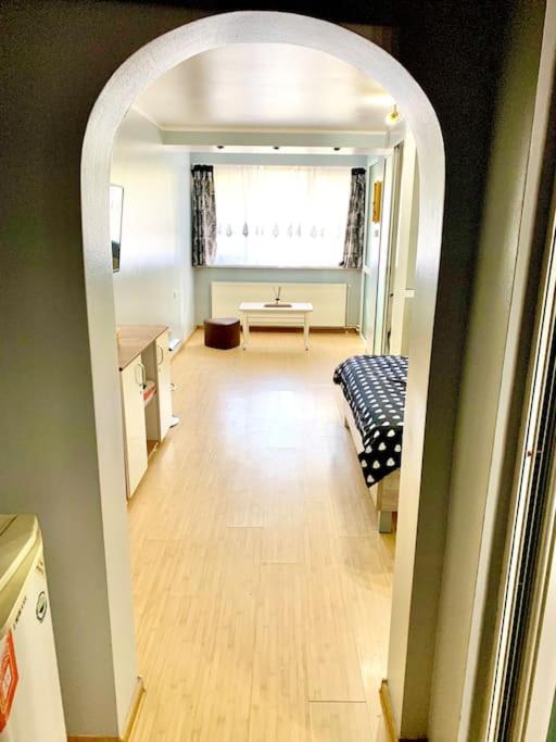 Gorgeous studio for rent - Hizvo