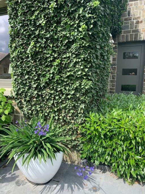 Les Rhododendrons - Housity