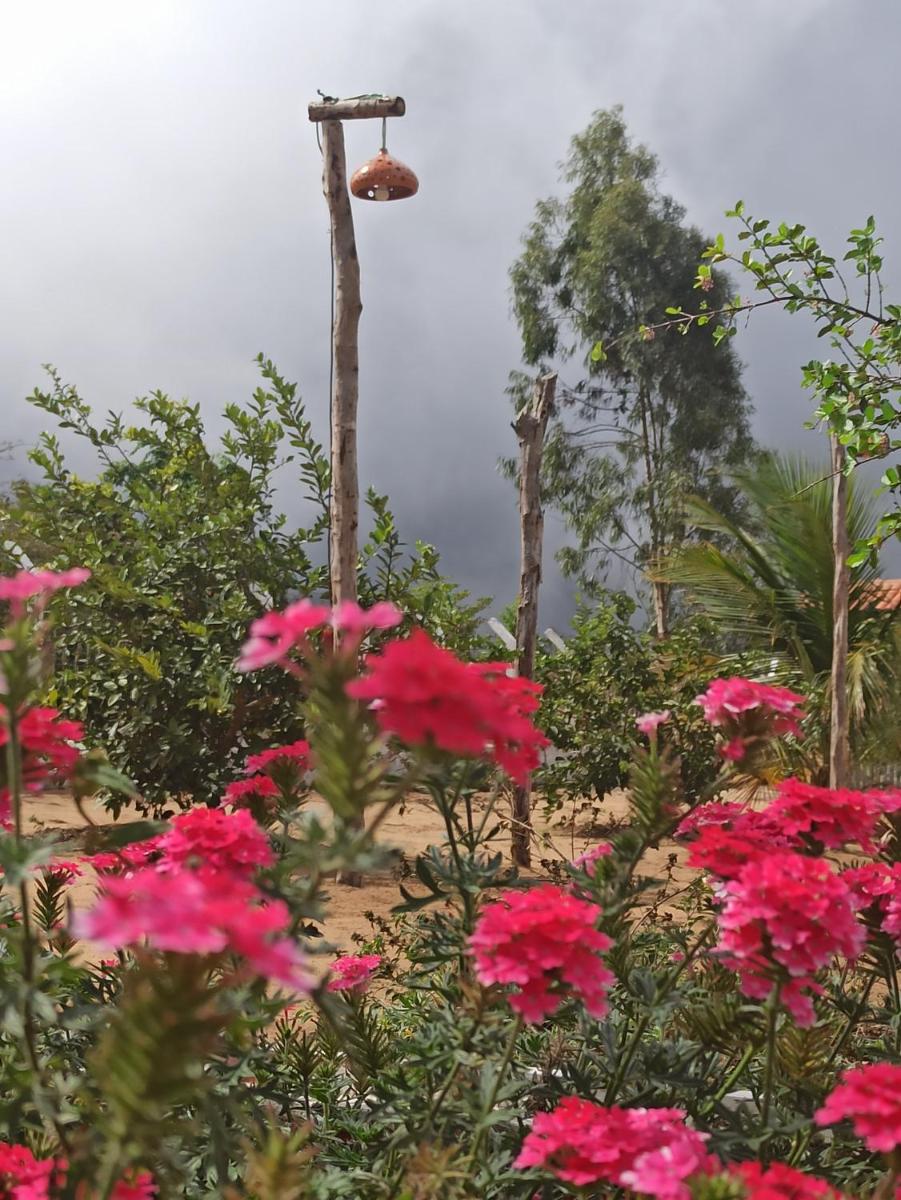 Sítio Flor de Lotus - Housity