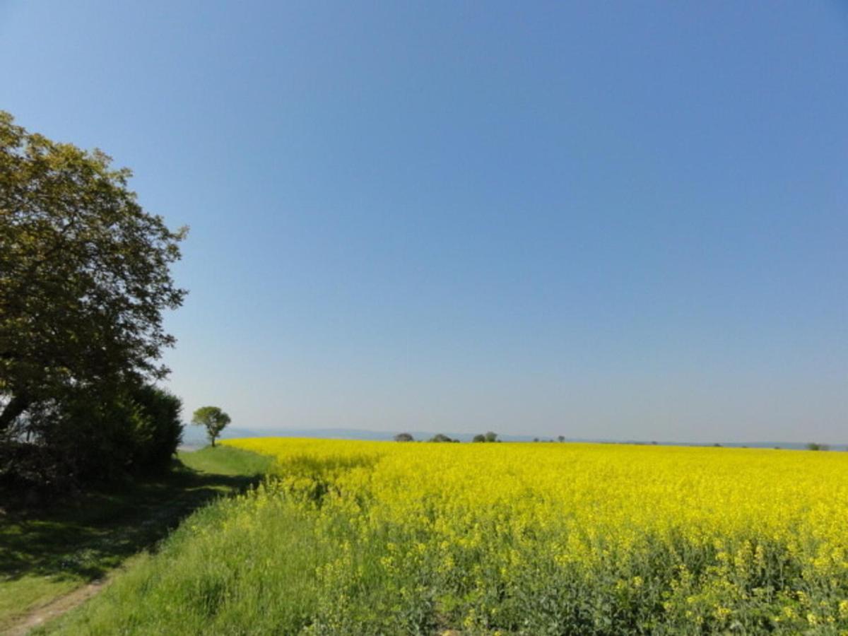 Suitetrails - Gîte Charroux - Allier, 4 pièces, 7 personnes - FR-1-489-271