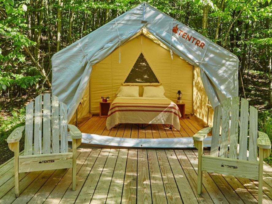 Tentrr State Park Site - Louisiana Bogue Chitto State Park - Riverview F - Single Camp - Housity