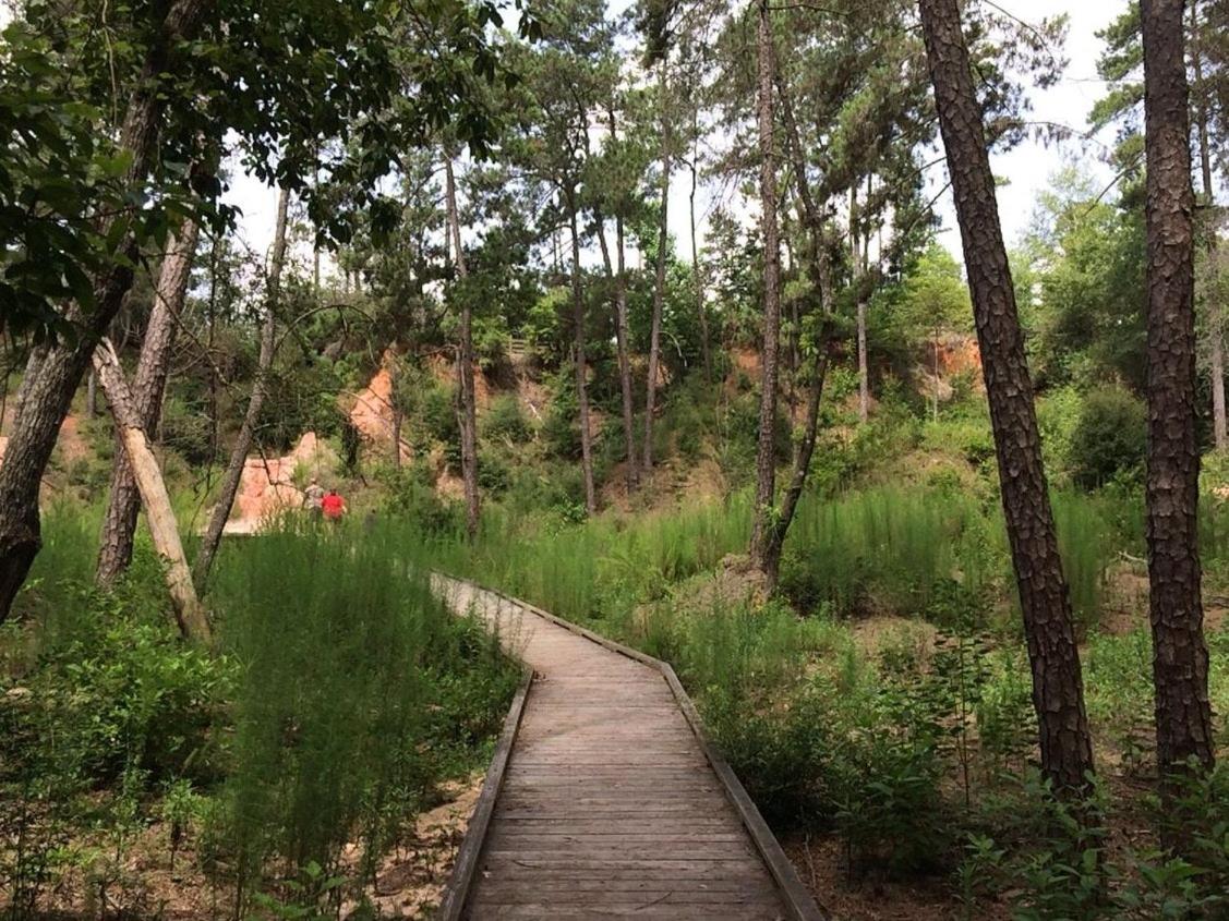 Tentrr State Park Site - Louisiana Bogue Chitto State Park - Riverview F - Single Camp - Housity