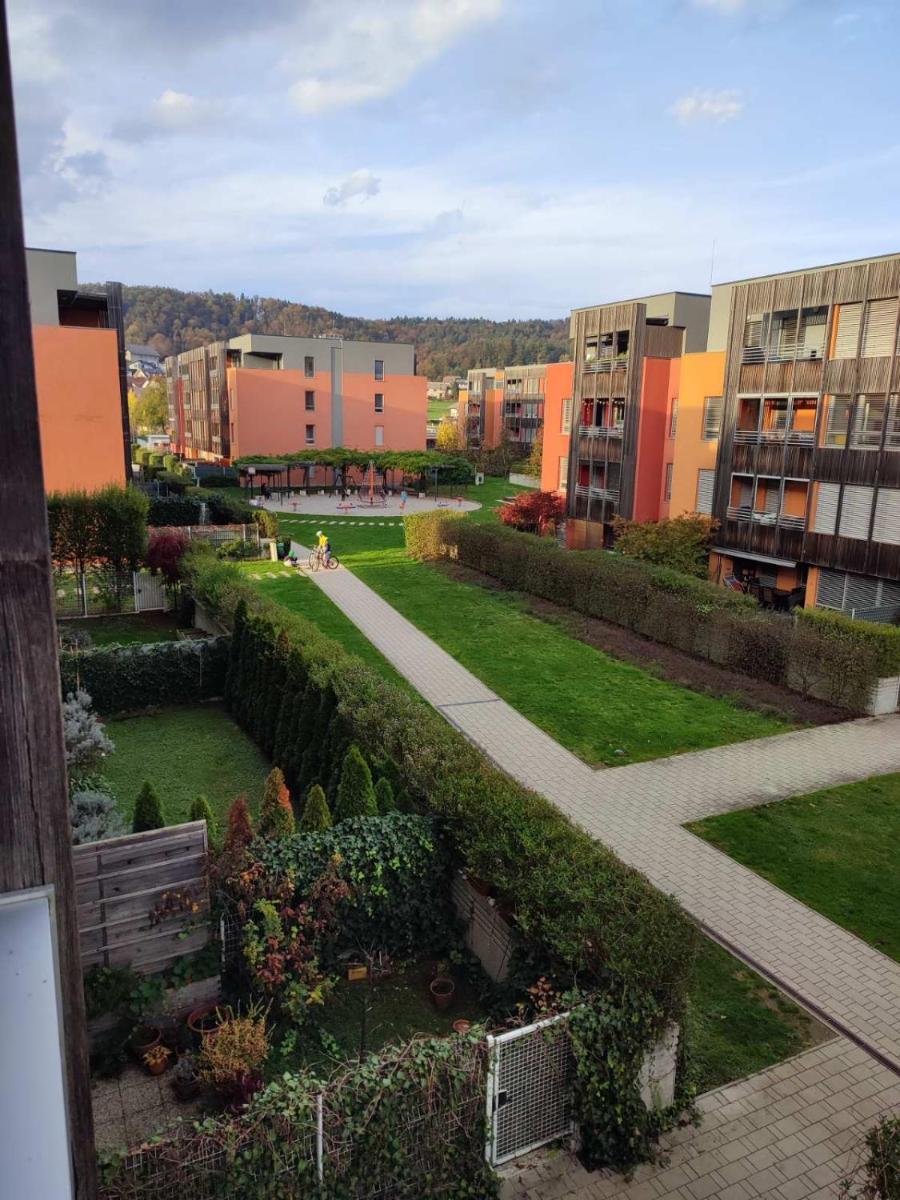 Lady S - Ljubljana, Škofljica - Housity