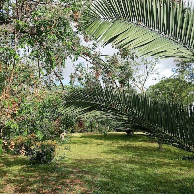 Near to city center of Sevilla. 3 nights minimum. - Housity