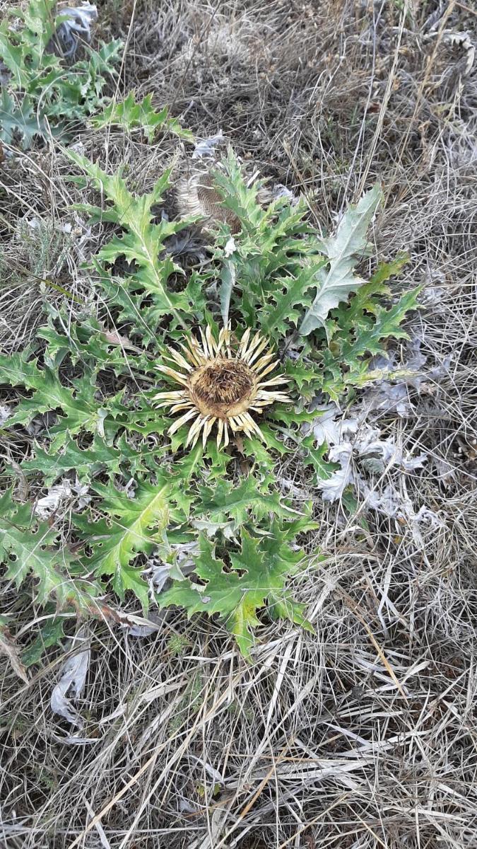 Un balcon entre Causses et Rougiers - Housity