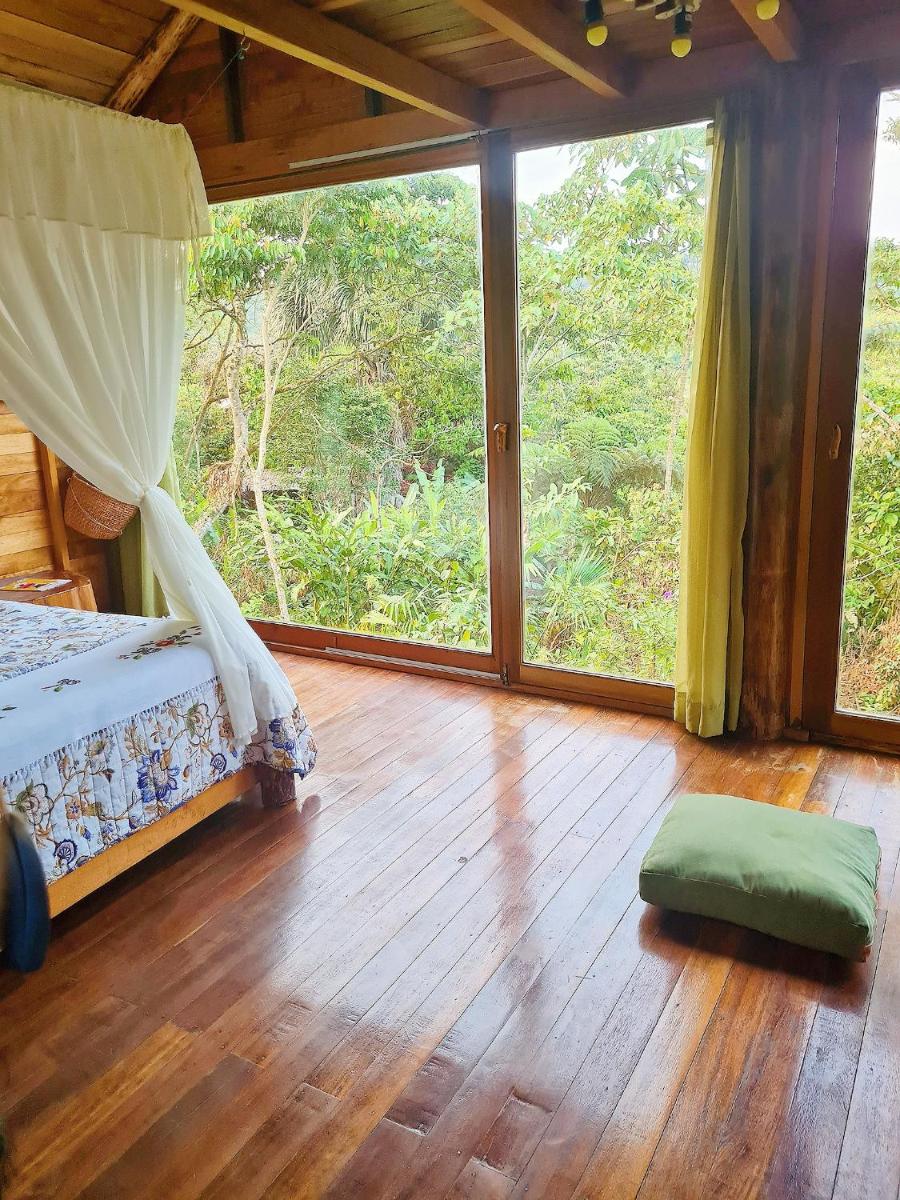 Sweet Home in Amazon Region - Housity
