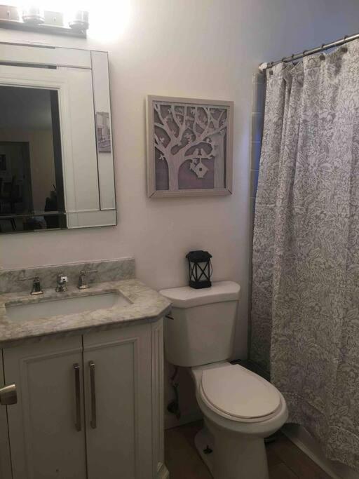 Tallahassee Gem: Cozy & Convenient - Housity