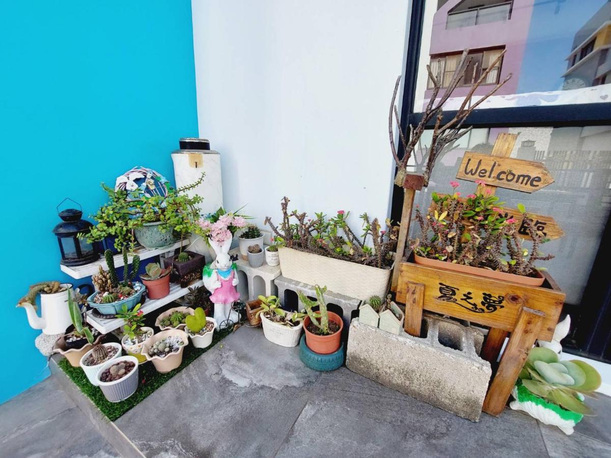 Summer Dream - Housity