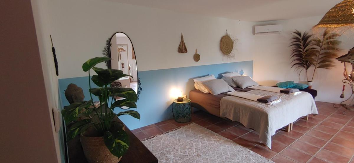 Casa Flamingo - Housity