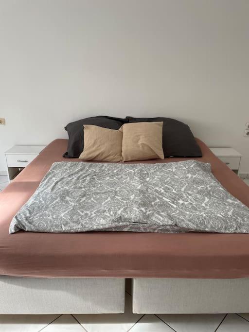 Schöne helle Wohnung mit Balkon und Küche - Housity