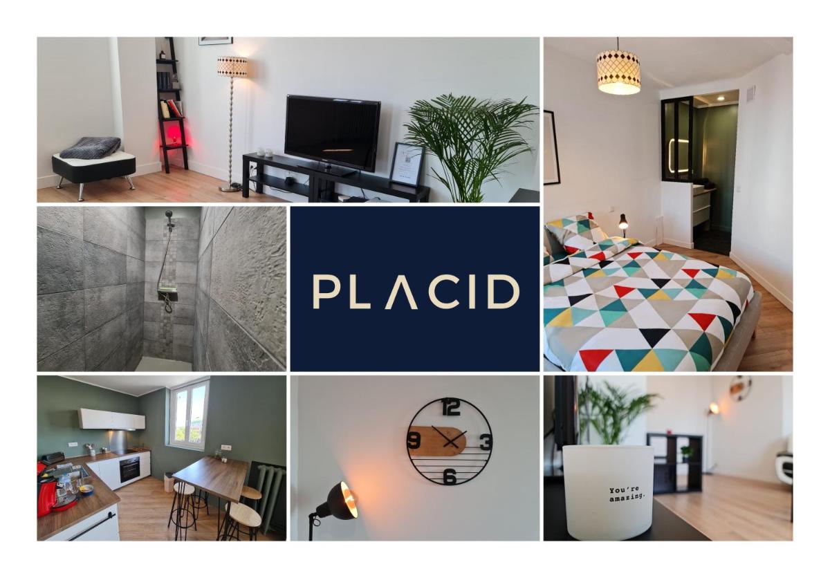 Suitetrails - Le ScottmanHouse - Appartement privé - Centre ville - Gare - Wi-Fi