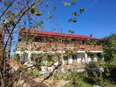 Noclegi u Dorota - Housity