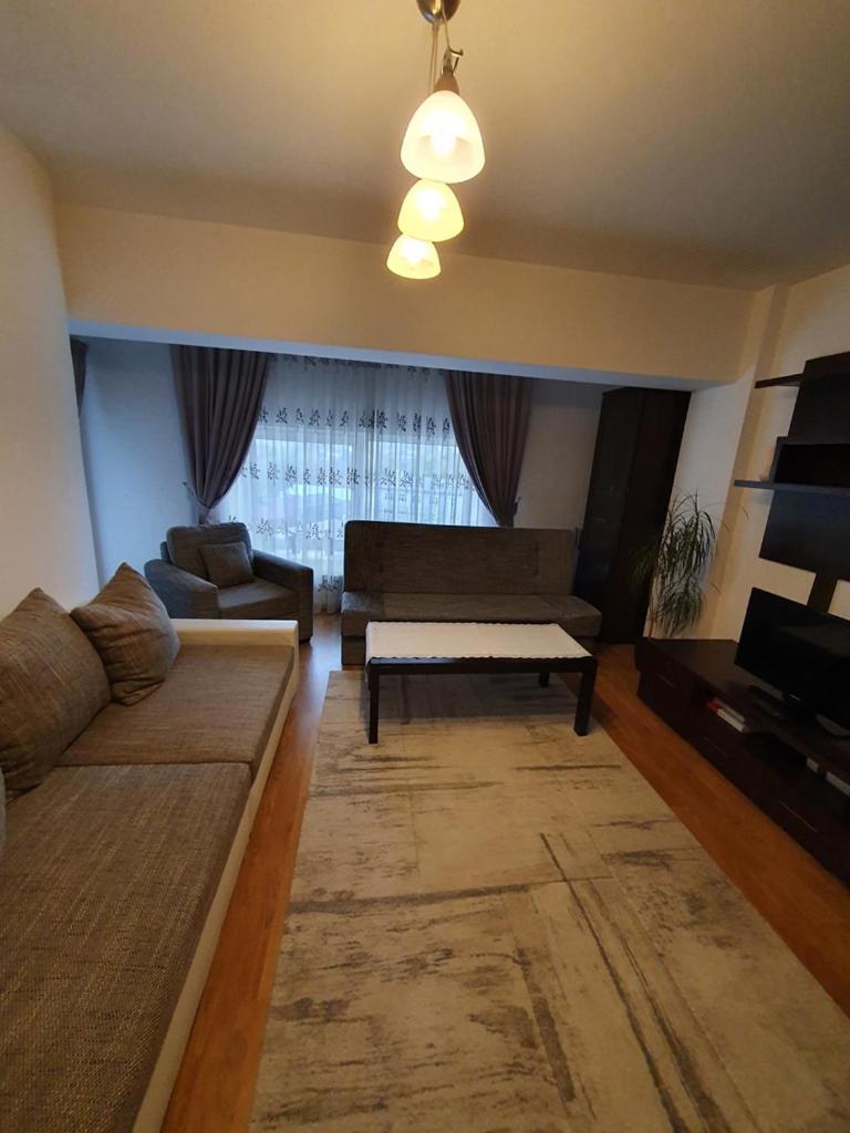 Cozy apartment Bukovina - Housity