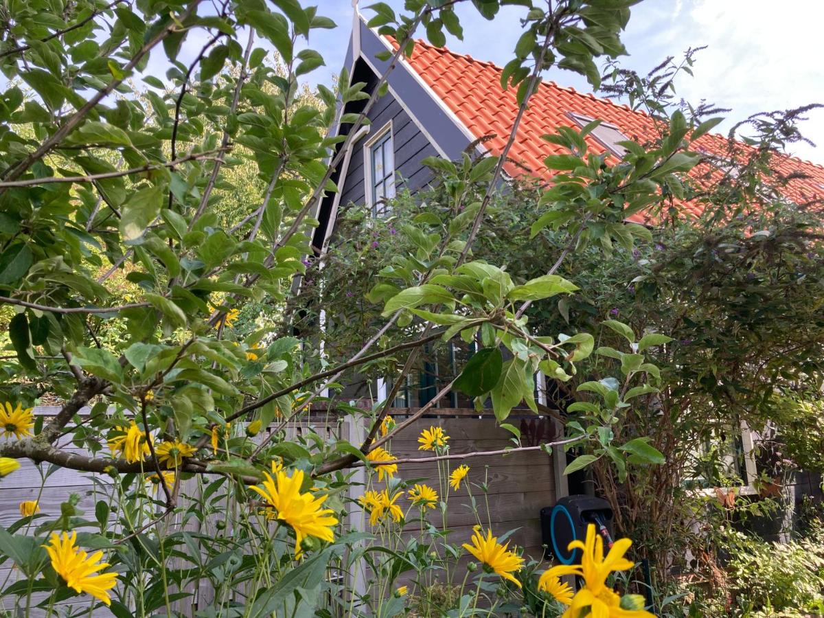 het zwaluwnest - Housity