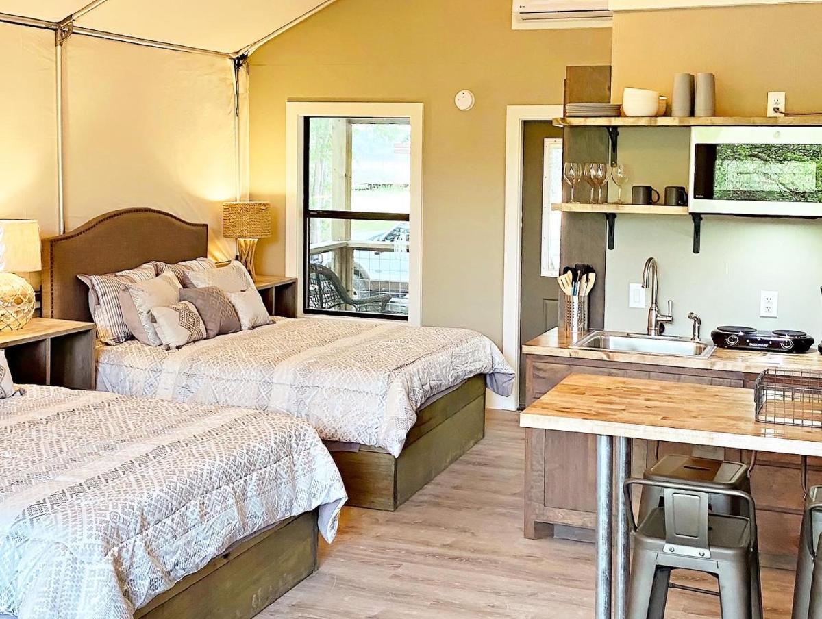 Son's Geronimo #3 Beautiful, Fun, Relaxing Creek with New Cabin! - Housity