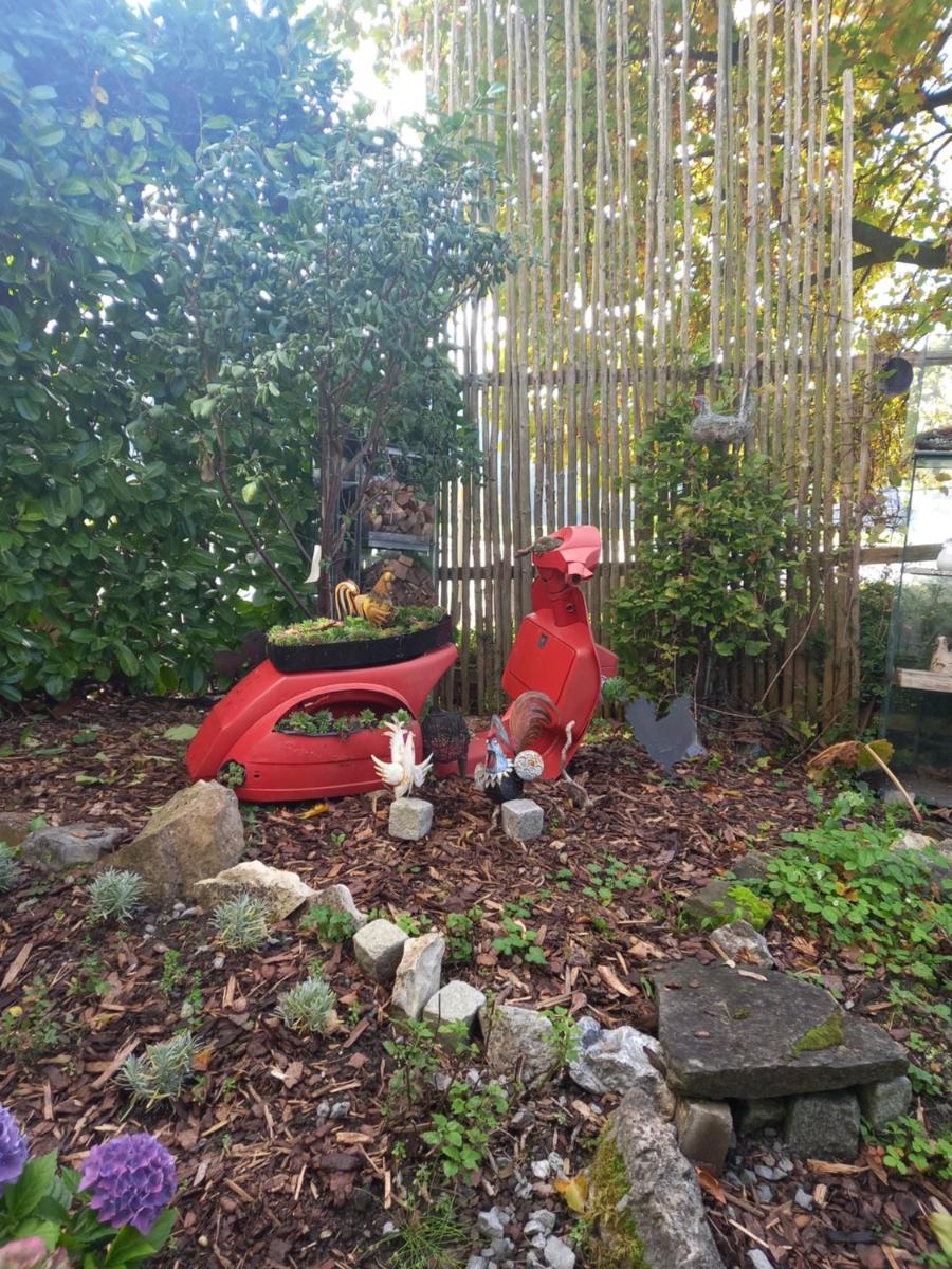 Airport Zürich Elwiras B & B - Housity