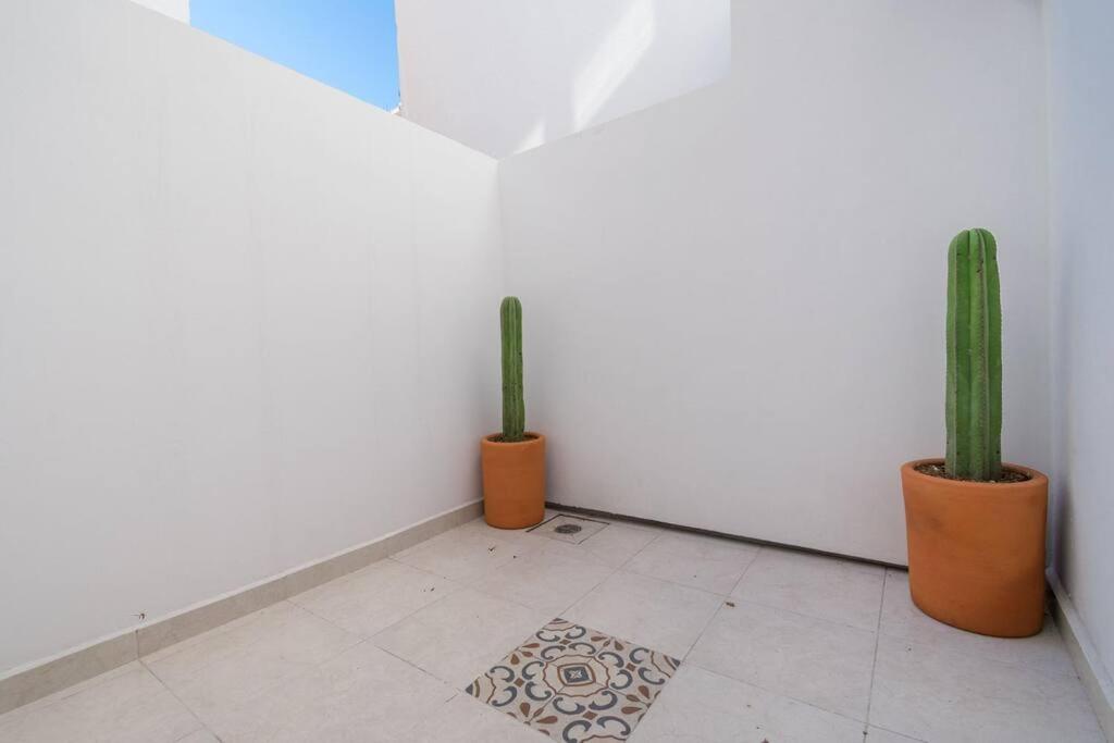 JUUB More Oaxaca Impossible (R1) - Housity